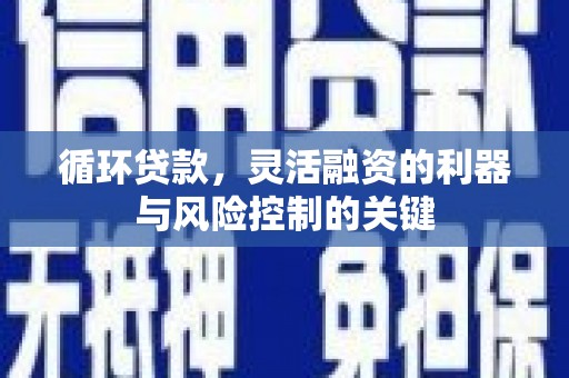 普湾新区循环贷款，灵活融资的利器与风险控制的关键