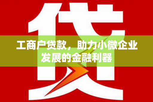 普湾新区工商户贷款，助力小微企业发展的金融利器