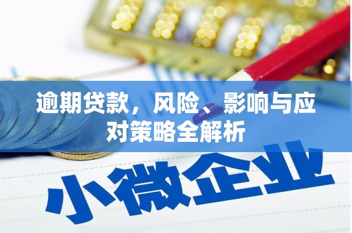 普湾新区逾期贷款，风险、影响与应对策略全解析