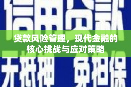 普湾新区贷款风险管理，现代金融的核心挑战与应对策略