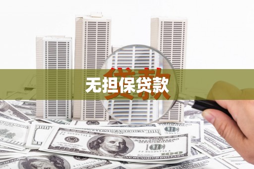 普湾新区无担保贷款