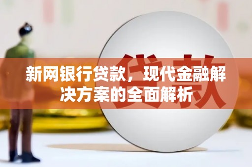 普湾新区新网银行贷款，现代金融解决方案的全面解析