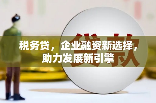 普湾新区税务贷，企业融资新选择，助力发展新引擎