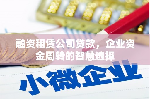 普湾新区融资租赁公司贷款，企业资金周转的智慧选择