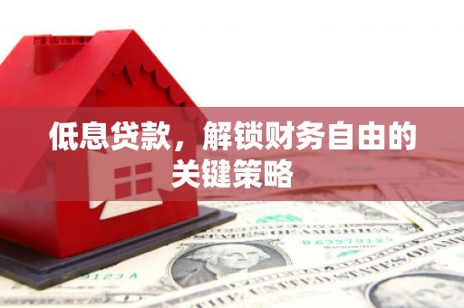 普湾新区低息贷款，解锁财务自由的关键策略