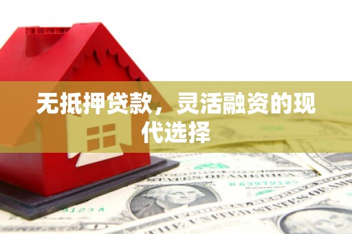 普湾新区无抵押贷款，灵活融资的现代选择