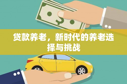 普湾新区贷款养老，新时代的养老选择与挑战