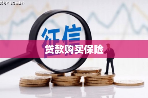 普湾新区贷款购买保险