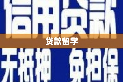 普湾新区贷款留学