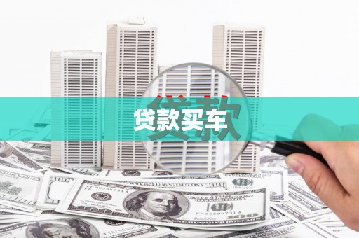 普湾新区贷款买车