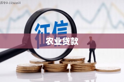 普湾新区农业贷款