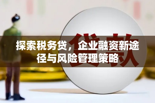 普湾新区探索税务贷，企业融资新途径与风险管理策略