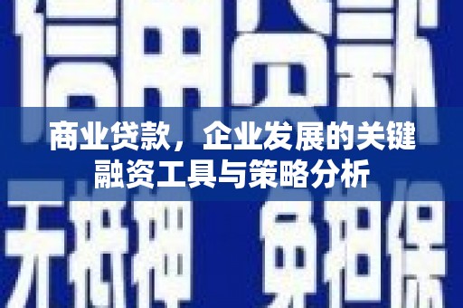 普湾新区商业贷款，企业发展的关键融资工具与策略分析