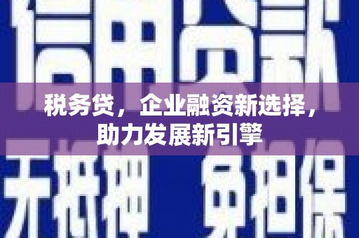 普湾新区税务贷，企业融资新选择，助力发展新引擎