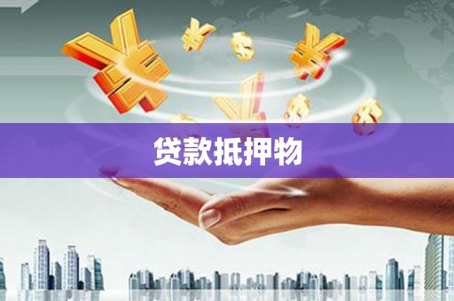 普湾新区贷款抵押物