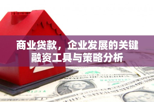 普湾新区商业贷款，企业发展的关键融资工具与策略分析