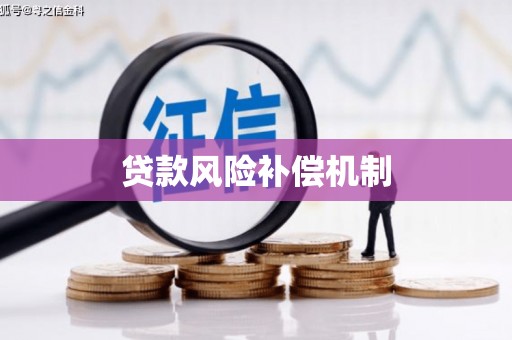 普湾新区贷款风险补偿机制