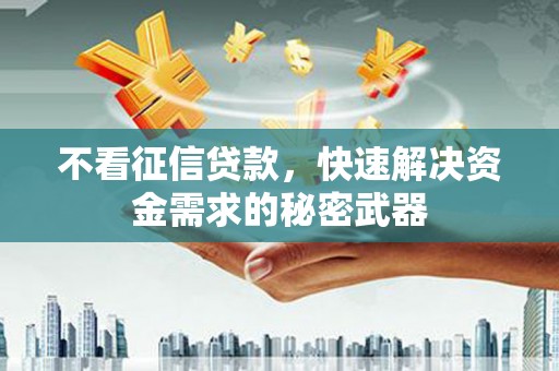 普湾新区不看征信贷款，快速解决资金需求的秘密武器