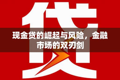 普湾新区现金贷的崛起与风险，金融市场的双刃剑