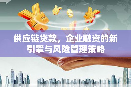 普湾新区供应链贷款，企业融资的新引擎与风险管理策略