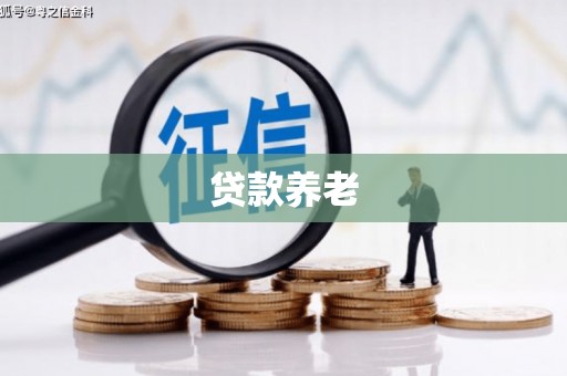 普湾新区贷款养老