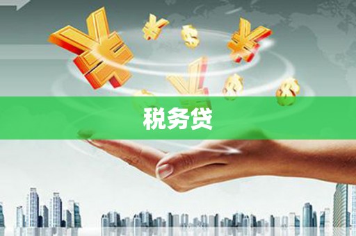 普湾新区税务贷