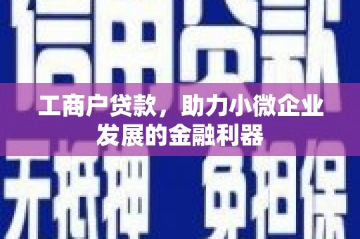 普湾新区工商户贷款，助力小微企业发展的金融利器