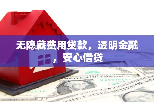 普湾新区无隐藏费用贷款，透明金融，安心借贷