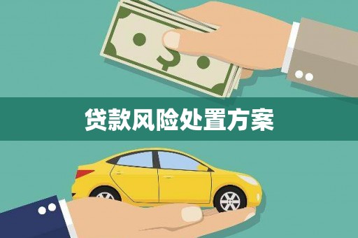 普湾新区贷款风险处置方案