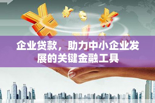 普湾新区企业贷款，助力中小企业发展的关键金融工具