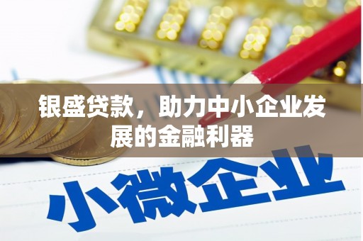 普湾新区银盛贷款，助力中小企业发展的金融利器