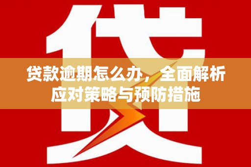 普湾新区贷款逾期怎么办，全面解析应对策略与预防措施