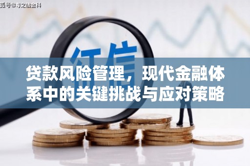 普湾新区贷款风险管理，现代金融体系中的关键挑战与应对策略