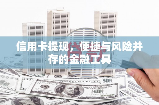 普湾新区信用卡提现，便捷与风险并存的金融工具