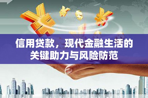 普湾新区信用贷款，现代金融生活的关键助力与风险防范