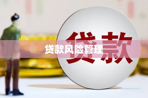 普湾新区贷款风险管理
