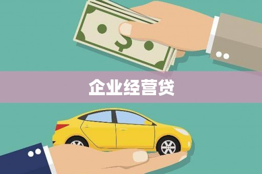 普湾新区企业经营贷