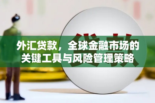 普湾新区外汇贷款，全球金融市场的关键工具与风险管理策略