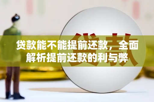 普湾新区贷款能不能提前还款，全面解析提前还款的利与弊
