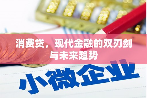 普湾新区消费贷，现代金融的双刃剑与未来趋势