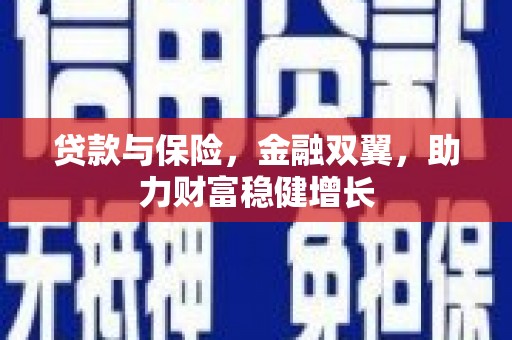 普湾新区贷款与保险，金融双翼，助力财富稳健增长
