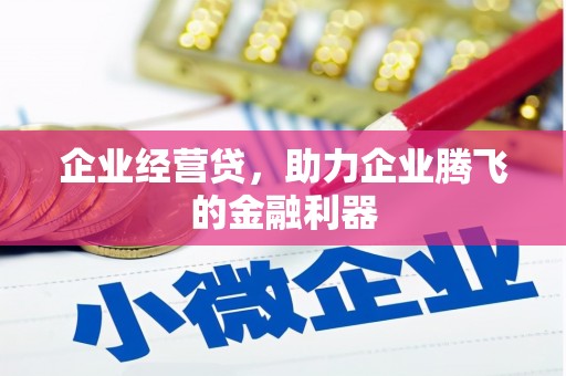 普湾新区企业经营贷，助力企业腾飞的金融利器
