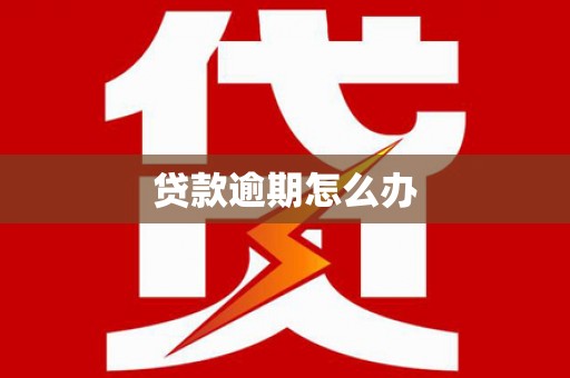 普湾新区贷款逾期怎么办