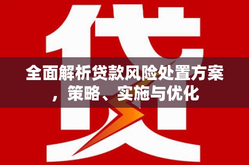 普湾新区全面解析贷款风险处置方案，策略、实施与优化