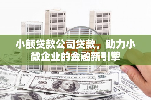 普湾新区小额贷款公司贷款，助力小微企业的金融新引擎
