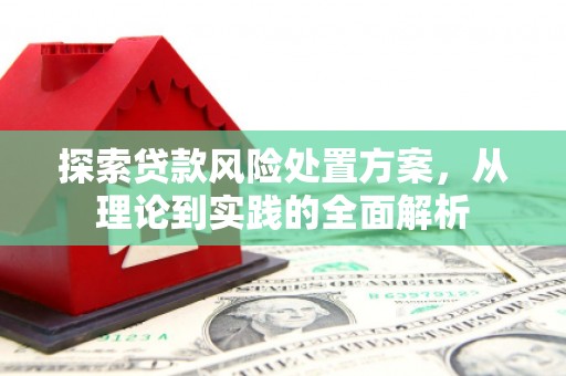 普湾新区探索贷款风险处置方案，从理论到实践的全面解析