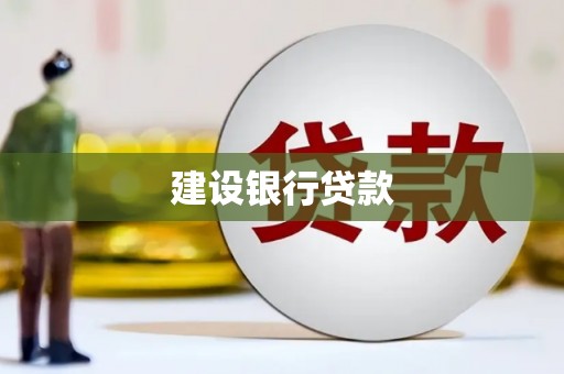 普湾新区建设银行贷款