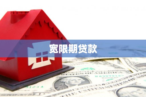 普湾新区宽限期贷款