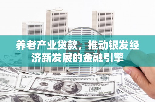 普湾新区养老产业贷款，推动银发经济新发展的金融引擎
