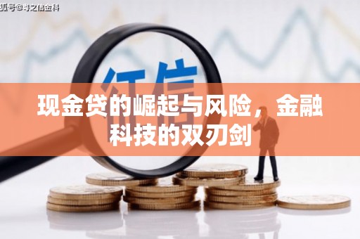 普湾新区现金贷的崛起与风险，金融科技的双刃剑